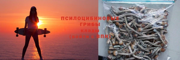 спиды Касимов