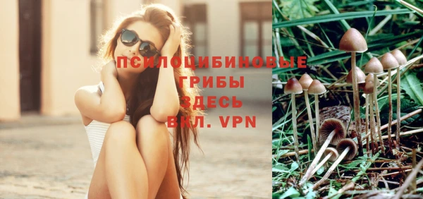 ALPHA-PVP Карталы